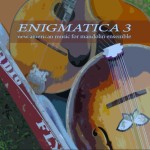 Enigmatica 3 cover